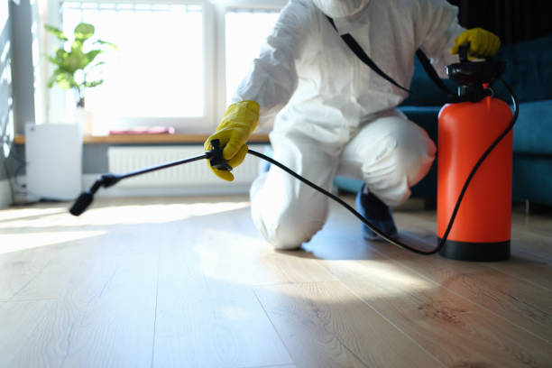 Trusted Odor Removal service in Three Bridges, NJ - Four Month Blood Cleanse